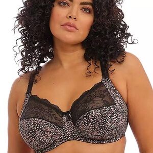 Elomi Black and Pink Patterned Lace Bra